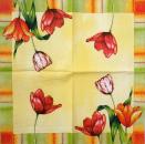 135 Tulpen - 3-lagig